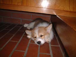 �閧�̏ꏊ�Ȃ񂾁I�I