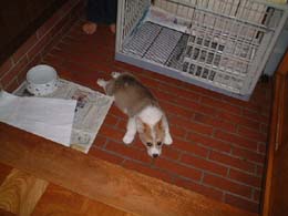 �l�̕����Ȃ񂾂�