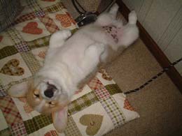 �˂ނ˂ނ��`�`�I�I