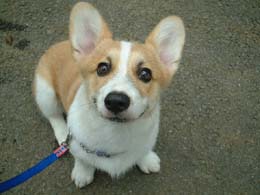 �����������I