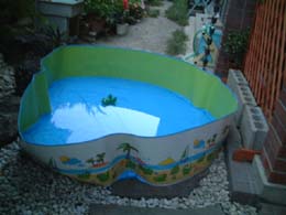 �v�`�`�`���������E�E