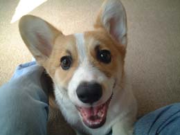 �����ׂ��`�`�I