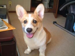 �|���肶��Ȃ������`�h