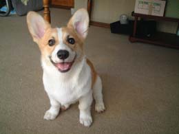 ������I�I�͂��`�`���I�I