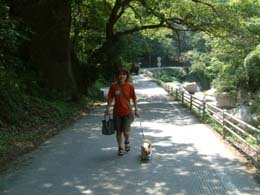 ���U�����ꂵ���Ȃ�