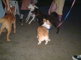 �����ς����F�B�����那�I