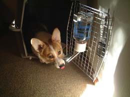 ������������ƁE�E