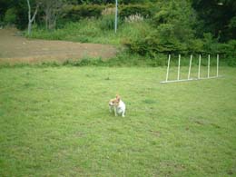 ����Ȃ��낢���Ȃ��`