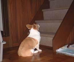 �������ā`�`