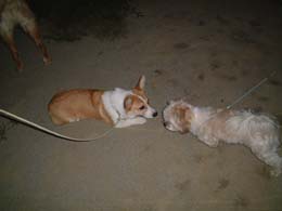 �΂��Ƃ��߂�B�����ՂՁ�