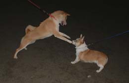 �łł��ł������`�`