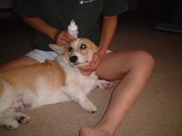 �����|�����E�E�����H