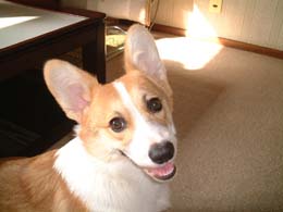 �����炧�`�`�I�I