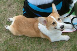 �ЂƋx�݁E�E�E