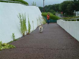 �܂��܂����邼���`�`