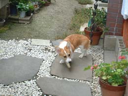 ����U�����E�E