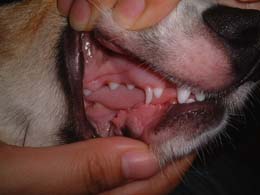 �ʂ��Ă�E�E