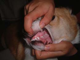 �����Ȃ����`�`