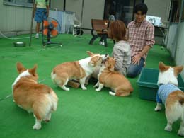 �݂�Ȍ��C���������H