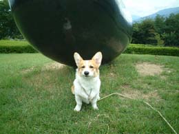 �͂��I�ςȂ������`�`