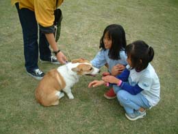 �ȂłȂő�D���I�I