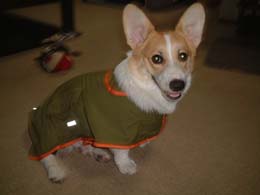 �J�b�p�Ƃ������}���g�H�I