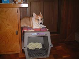 �ǂ����I�I��������I�I