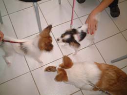 �N�����p�s�I���H�I�l�R�[�M�[