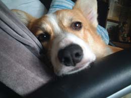 ���킟�I�A�b�v�I�I