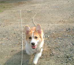 �Ă񂾂��H�Ȃɂ��H�H