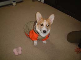 �l�̃J�b�p�т����肾��I