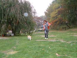 ���o�������Ă���那�H