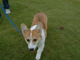 �����������`�`