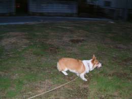 ���鑖�那�`�`