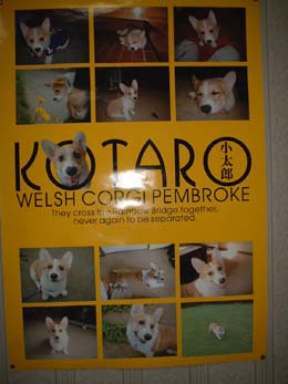 �����Y�����ς��I�I