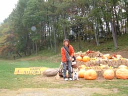 ���ڂ��Ⴊ�����ς�����