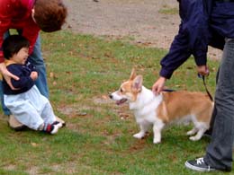 �l�Ƃ��Ȃ��N�H�H