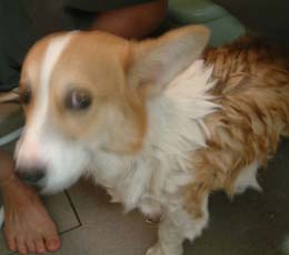 ���������悧�`�`