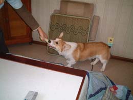 �Ђ��ς�����I�I