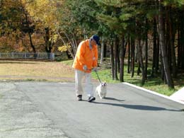 ���׋����Ȃ񂾁E�E