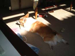 �ЂÂ߃K���K��