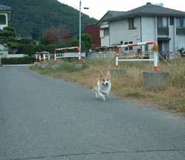 �����������������I�I