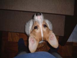 �t�����H�I�Ȃ킯�Ȃ��ˁE�E