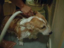 �L���`���������I�I