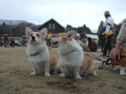 �j��������΂邼��