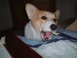 �ł��������I�I