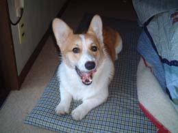 �͂��`�`���I�I