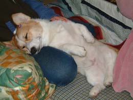 �Q�S�n�悢�E�E�������H�I