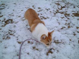 �Ⴞ���`�`�Ⴞ���`�`�I�I