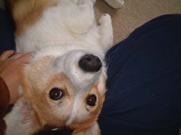 �������܁I�I